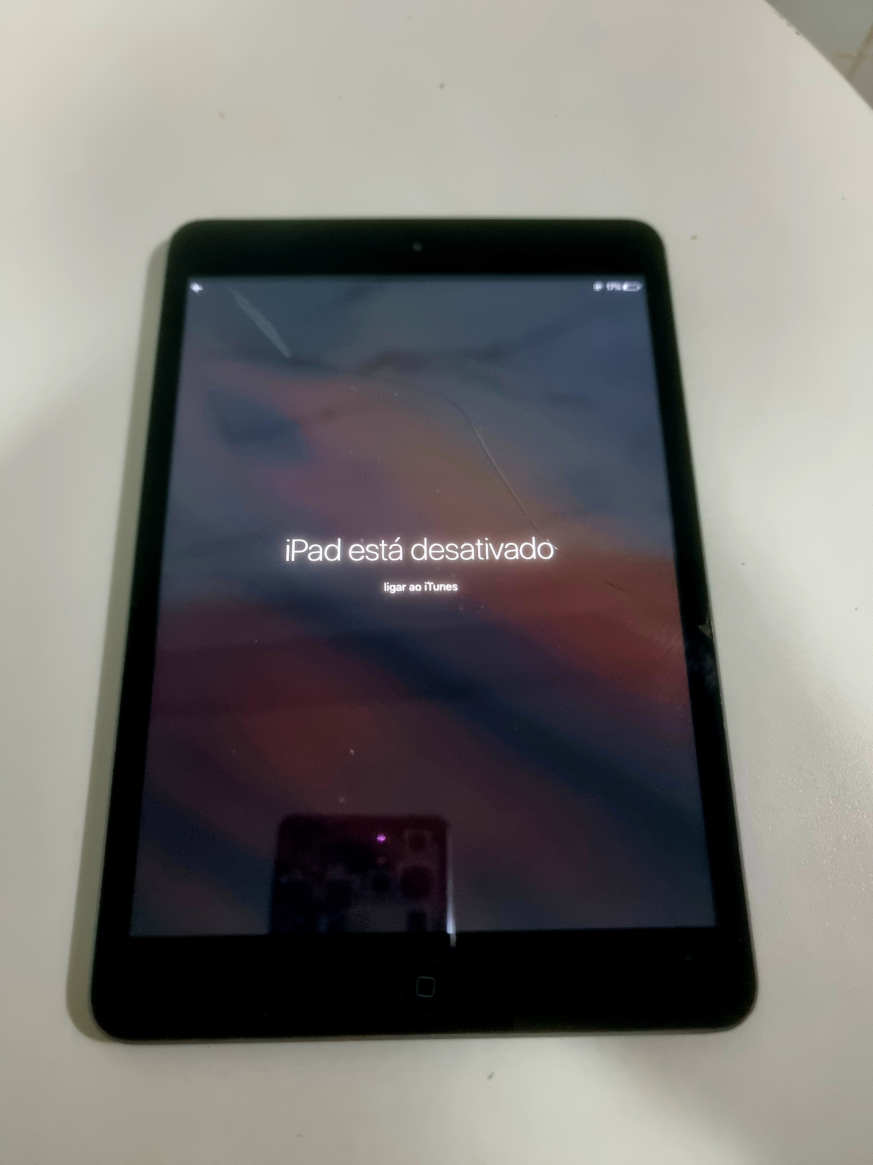 iPad mini