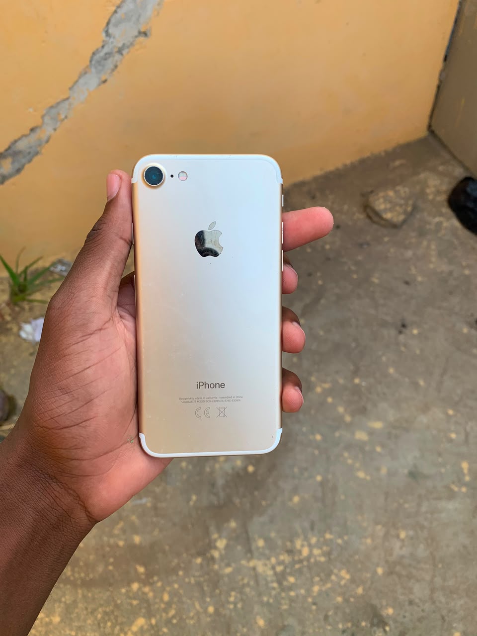 IPhone 7 normal